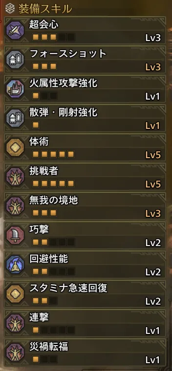 超会心Lv3
フォースショットLv3
火属性攻撃強化Lv1
散弾・剛射強化Lv1
体術Lv5
挑戦者Lv5
無我の境地Lv3
巧撃Lv2
回避性能Lv2
スタミナ急速回復Lv2
連撃Lv1
災禍転福Lv1